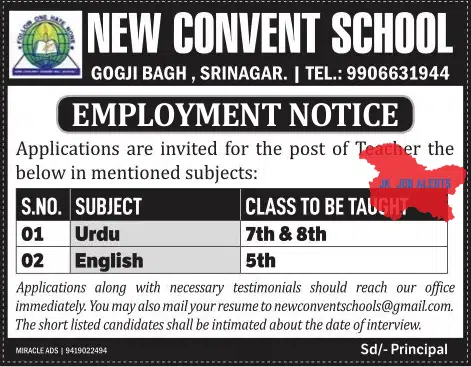 NEW CONVENT SCHOOL JOBS 2023