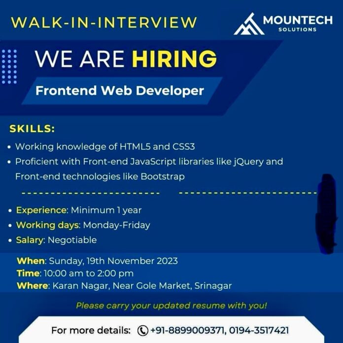 MOUNTECH SOLUTIONS HIRING WEB DEVELOPER