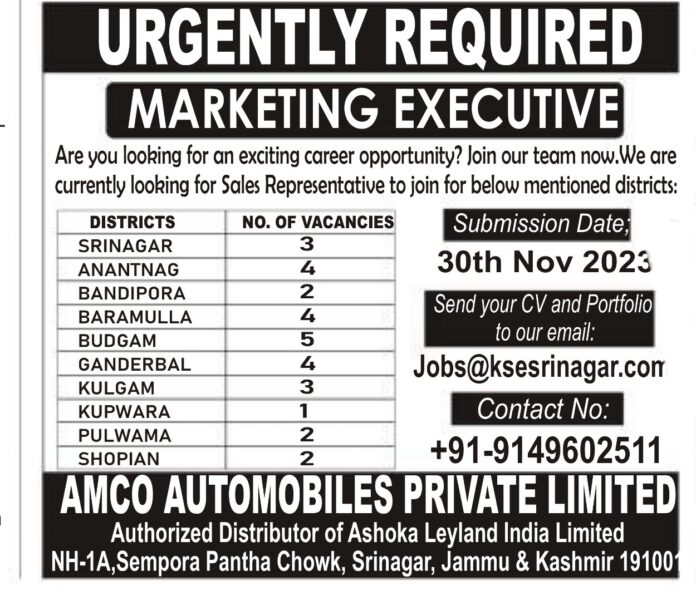 AMCO AUTOMOBILES PRIVATE LIMITED REQUIRED MARKETING EXECUTIVE