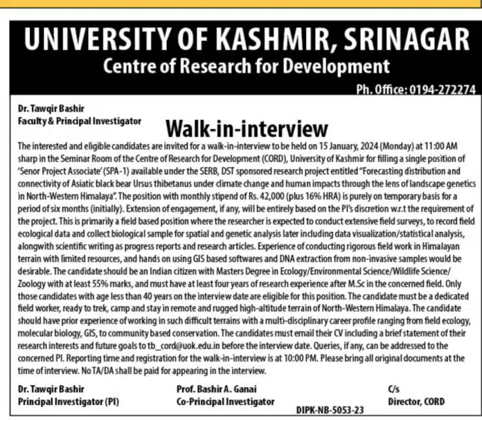 UNIVERSITY OF KASHMIR, WALK IN INTERESTED FOR POST OF SENOR PROJECT ASSOCIATE 2024