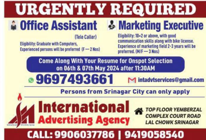 International Advertising Agency Job Advertisement 2024