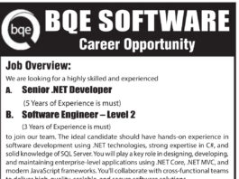 Senior .NET Developer at BQE Software – 5+ Years of Experience Required