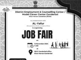 Job Fair at DECC Ganderbal - 12th November 2024