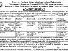 Job Opportunities at Sher-e-Kashmir University of Agricultural Sciences & Technology (SKUAST) Jammu 2024