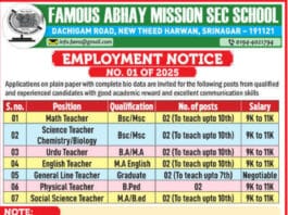 FAMOUS ABHAY MISSION SECONDARY SCHOOL JOB ADVENTURE 2025