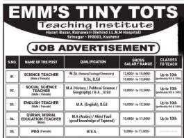 EMM'S TINY TOTS Teaching Institute Recruitment 2025: Apply for Various Teaching and Non-Teaching Positions