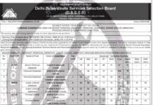 DSSSB Recruitment 2026: 641 Court Vacancies, Apply Online DSSSB Recruitment 2026: 641 Court Vacancies, Apply Online